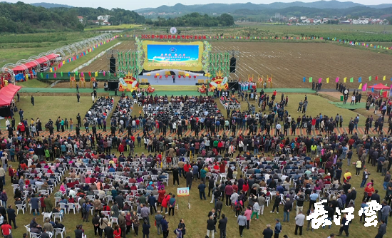 9月21日,咸寧市咸安區(qū)高橋蘿卜小鎮(zhèn)百畝草地上舉行了“慶豐收·迎小康”第三屆中國(guó)農(nóng)民豐收節(jié)湖北分會(huì)場(chǎng)咸寧主會(huì)場(chǎng)慶?;顒?dòng),全市各界農(nóng)民代表相聚白水畈的美麗田野,分享豐收的喜悅,慶祝屬于自己的節(jié)日。 開(kāi)幕式上舉行了精彩的文藝演出,演出在舞蹈《慶豐收》中拉開(kāi)序幕,歌舞《錦繡小康》呈現(xiàn)出咸寧各地欣欣向榮、脫貧致富奔小康的幸福場(chǎng)景。網(wǎng)紅歌曲《你莫走》、舞蹈《慶豐收》、歌舞《一起幸?!?,一個(gè)個(gè)精彩的節(jié)目輪番上演,博得現(xiàn)場(chǎng)觀眾陣陣掌聲。 開(kāi)幕活動(dòng)現(xiàn)場(chǎng)還舉行了頒獎(jiǎng)儀式,第二屆“美麗中國(guó)、鄉(xiāng)村振興”全國(guó)農(nóng)民詩(shī)歌邀請(qǐng)賽獲獎(jiǎng)組織和個(gè)人,全市農(nóng)村人居環(huán)境整治示范村,省級(jí)農(nóng)業(yè)產(chǎn)業(yè)化工作先進(jìn)集體和先進(jìn)個(gè)人上臺(tái)領(lǐng)獎(jiǎng)?,F(xiàn)場(chǎng)還舉行了鄂南民俗展演、農(nóng)民趣味運(yùn)動(dòng)會(huì)、扶貧農(nóng)產(chǎn)品以及咸寧特色農(nóng)產(chǎn)品展銷(xiāo)等豐富多彩的活動(dòng)?;鸨娜藲猓屧趫?chǎng)的展銷(xiāo)商賺得是盆滿缽滿。 咸寧市咸安區(qū)鑫達(dá)種養(yǎng)專業(yè)合作社理事長(zhǎng)萬(wàn)永輝:今年家里的香菇都豐收了,一上午我就賣(mài)出了一萬(wàn)多元,我們合作社采取的是“合作社+農(nóng)戶”的模式,也帶領(lǐng)了20多戶貧困戶脫貧了。 咸寧市致遠(yuǎn)種植專業(yè)合作社理事長(zhǎng) 吳海兵:我們今年是真真正正地豐收了,我們生姜的價(jià)格足足翻了三倍,跟著我們一起的貧困戶也平均增收了3000元左右。 而這一系列的活動(dòng),都是在蘿卜小鎮(zhèn)的草地上進(jìn)行的,草地作舞臺(tái)、草地搞展示、草地上比賽等等,這數(shù)百畝草地,此時(shí)此刻成為了咸寧農(nóng)民們慶祝豐收的歡樂(lè)場(chǎng)。 咸寧市咸安區(qū)高橋鎮(zhèn)黨委書(shū)記王順榮:今年的湖北分會(huì)場(chǎng)在我們高橋蘿卜小鎮(zhèn)舉辦,我感到很榮幸,我們從一顆蘿卜做起,以白水畈蘿卜為核心品牌,打造白水畈"我家菜園"蔬菜基地及旅游觀光體驗(yàn)中心,發(fā)展綠色農(nóng)業(yè)、生態(tài)旅游,增加產(chǎn)業(yè)開(kāi)發(fā)的綜合效益,創(chuàng)建蘿卜特色小鎮(zhèn),走出了一條農(nóng)業(yè)、旅游相結(jié)合的新路,推動(dòng)高橋鎮(zhèn)一二三產(chǎn)業(yè)融合發(fā)展。 鄉(xiāng)親們說(shuō),這在以前是想都不敢想的,高橋鎮(zhèn)蝸居山里,太偏遠(yuǎn)又沒(méi)有資源優(yōu)勢(shì),想發(fā)展太難。而現(xiàn)在這一切的悄然改變,得益于2017年10月13日,咸安區(qū)政府與鄂旅投公司正式簽署的《131軍旅小鎮(zhèn)+白水畈田園綜合體旅游開(kāi)發(fā)投資合作協(xié)議》,鄂旅投公司將投資30億元,在高橋鎮(zhèn)打造131軍旅小鎮(zhèn)和白水畈田園綜合體旅游開(kāi)發(fā)項(xiàng)目。項(xiàng)目共分為131軍旅小鎮(zhèn)、白水畈美麗鄉(xiāng)村、特色農(nóng)業(yè)示范、旅游綜合體四大板塊,打造旅游綜合服務(wù)區(qū)、澄水洞軍事展示區(qū)、青少年國(guó)防教育基地、鐵血軍事樂(lè)園區(qū)、戰(zhàn)狼訓(xùn)練基地、美麗村灣民俗區(qū)、四季瓜果示范區(qū)、農(nóng)耕文化展示區(qū)、特色商業(yè)街區(qū)和康養(yǎng)度假區(qū)十大功能區(qū)。 咸寧市咸安區(qū)高橋鎮(zhèn)黨委書(shū)記王順榮:我們引進(jìn)鄂旅投,打造蘿卜小鎮(zhèn),目前建設(shè)有蘿卜小鎮(zhèn)科普館、蘿卜鄉(xiāng)學(xué)院、蘿卜酒店等休閑旅游項(xiàng)目,十一馬上到了,也歡迎廣大游客前來(lái)游玩。 今年是決勝全面建成小康社會(huì)、決戰(zhàn)脫貧攻堅(jiān)之年。咸寧市本著"儉樸、祥和、歡樂(lè),農(nóng)民參與,農(nóng)民唱主角"的辦節(jié)思路,而此屆中國(guó)農(nóng)民豐收節(jié)辦節(jié)費(fèi)用也是倍減。 農(nóng)為邦本,本固邦寧。今年,面對(duì)重大疫情和特大洪澇災(zāi)害,咸寧市扎實(shí)做好“六穩(wěn)”工作、落實(shí)“六?!比蝿?wù),克服重重困難,推動(dòng)農(nóng)業(yè)實(shí)現(xiàn)持續(xù)平穩(wěn)發(fā)展,形成了茶葉、油茶、中藥材等12個(gè)特色農(nóng)業(yè)主導(dǎo)產(chǎn)業(yè),“全國(guó)一村一品示范村鎮(zhèn)”發(fā)展到14家,國(guó)家級(jí)、省級(jí)農(nóng)業(yè)產(chǎn)業(yè)化龍頭企業(yè)達(dá)到55家。尤其是糧食產(chǎn)量預(yù)計(jì)達(dá)118萬(wàn)噸、蔬菜產(chǎn)量預(yù)計(jì)達(dá)260萬(wàn)噸,生豬預(yù)計(jì)出欄183.52萬(wàn)頭,農(nóng)業(yè)生產(chǎn)再獲豐收,糧食安全有效保障,讓農(nóng)民的腰包更鼓、家園更美、生活更甜,為加快實(shí)施鄉(xiāng)村振興戰(zhàn)略、推動(dòng)咸寧高質(zhì)量發(fā)展提供堅(jiān)實(shí)保障。
